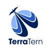 TerraTern Logo