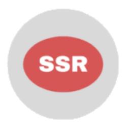 Shree Shyam Roadlines Logo