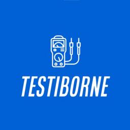 TestiBorne Logo
