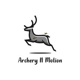 Archery N Motion Logo