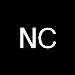 Nilmi Consulting Logo
