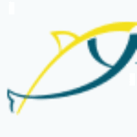 YellowFin Digital Logo