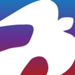 Icon Systems, Inc Logo