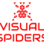 VISUALSPIDERS Logo