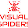 VISUALSPIDERS Logo