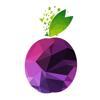 PRUNE.co.in Logo