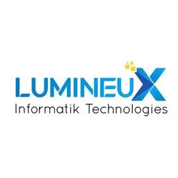 Lumineux Informatik Technologies Logo