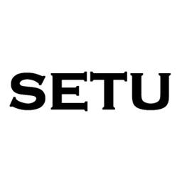 Setu Consulting Services Pvt. Ltd. Logo