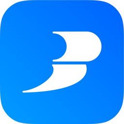 BlueSky Medical Staffing Software Logo