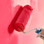 Dubai Painting Services Logo