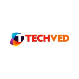 TECHVED Consulting Logo