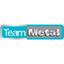 Team Metal (S) Pte Ltd Logo