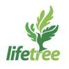 LifeTree Trainings Logo