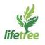 LifeTree Trainings Logo