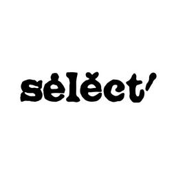 Select Recruitment Specialists Ltd Logo