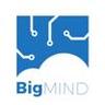 BigMIND Logo