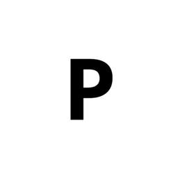 Pukkas - Digital Solutions Logo