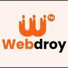 Webdroy Solutions Private Limited Logo
