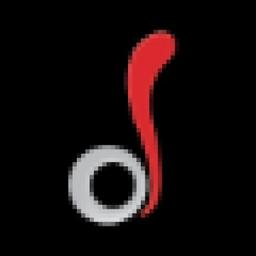Data Infovision (P) Ltd. Logo