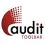 The Audit Toolbar Logo
