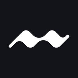 Mustard Navy Logo