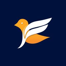 Finesse Marketing Agency Logo