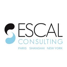 ESCAL Consulting Logo