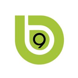 B9 Solutions Logo