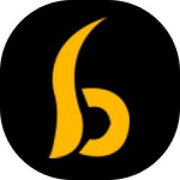 Bonafide Technologies Logo