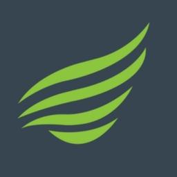 Pegasus Systems Logo