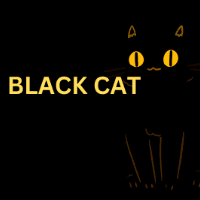 Black cat CCTV Camera Logo