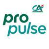 Propulse by CA Logo