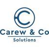 Carew & Co. Solutions Logo