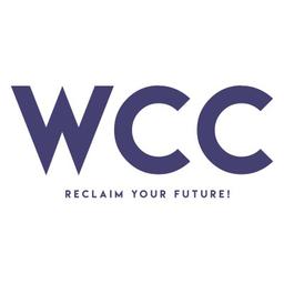 Wipe Credit Clean Logo