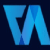 Virtual Auditor Pvt Ltd  Logo