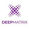 DeepMatrix Logo