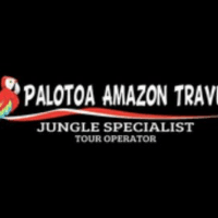 Palotoa Amazon Travel Logo