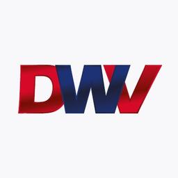 DWV Smart Repair Solutions Logo
