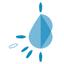 Madeira Boat Rentals Logo