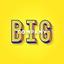 Big Company Logo