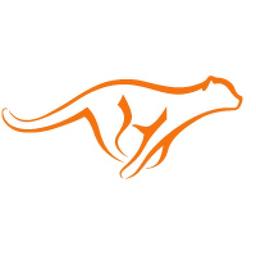 Acinonyx Web Agency Logo