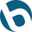 bluevista geneva Logo