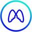 Metanest Agency Logo