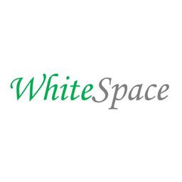 WhiteSpace Advisory and Consulting LLC Logo