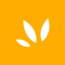 Web Tribe Studio Logo