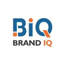 BrandiQ Logo