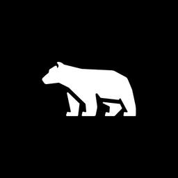 Polar® Logo