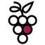 SalesGrape Logo