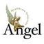 Angel Healthcare Solutions Ltd Logo