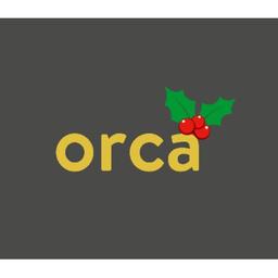 Orca Business Support Logo